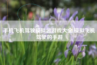 手机飞机驾驶模拟器游戏大全,模拟飞机驾驶的手游