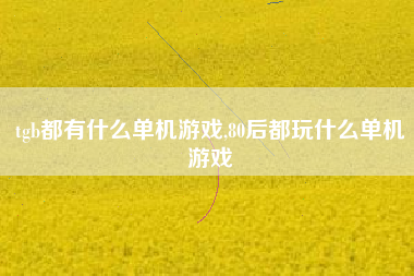 tgb都有什么单机游戏,80后都玩什么单机游戏