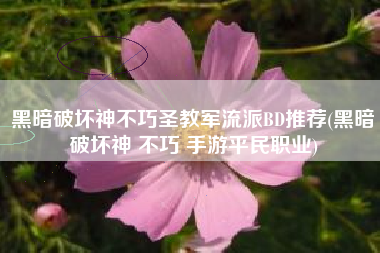 黑暗破坏神不巧圣教军流派BD推荐(黑暗破坏神 不巧 手游平民职业)