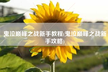 鬼泣巅峰之战新手教程(鬼泣巅峰之战新手攻略)