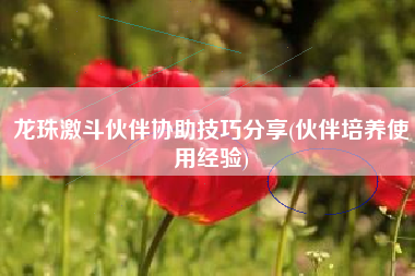 龙珠激斗伙伴协助技巧分享(伙伴培养使用经验)