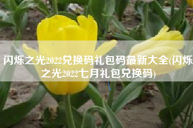 闪烁之光2022兑换码礼包码最新大全(闪烁之光2022七月礼包兑换码)