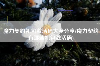 魔力契约礼包激活码大全分享(魔力契约有哪些礼包激活码)