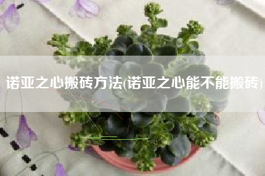诺亚之心搬砖方法(诺亚之心能不能搬砖)