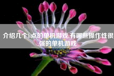 介绍几个h点的单机游戏,有哪些操作性很强的单机游戏