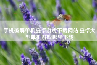 手机破解单机安卓游戏下载网站,安卓大型单机游戏哪里下载