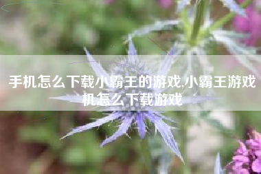 手机怎么下载小霸王的游戏,小霸王游戏机怎么下载游戏