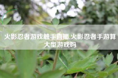 火影忍者游戏触手直播,火影忍者手游算大型游戏吗