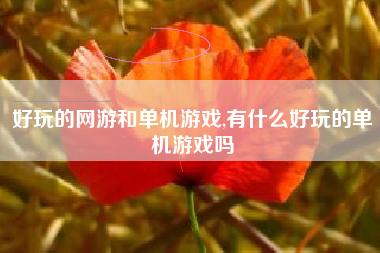 好玩的网游和单机游戏,有什么好玩的单机游戏吗