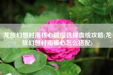 龙族幻想村雨核心词缀选择血统攻略(龙族幻想村雨核心怎么搭配)