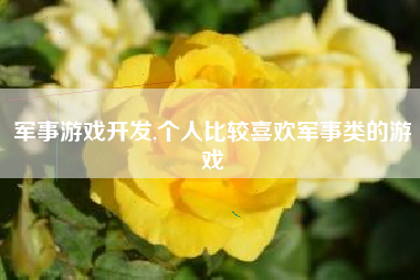 军事游戏开发,个人比较喜欢军事类的游戏