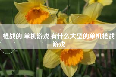 枪战的 单机游戏,有什么大型的单机枪战游戏