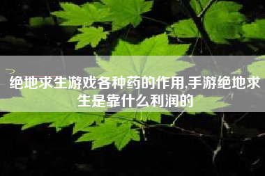 绝地求生游戏各种药的作用,手游绝地求生是靠什么利润的