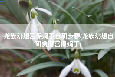 龙族幻想宫保鸡丁自研步骤(龙族幻想自研食谱宫保鸡丁)
