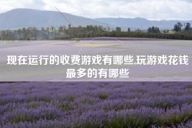 现在运行的收费游戏有哪些,玩游戏花钱最多的有哪些