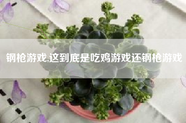 钢枪游戏,这到底是吃鸡游戏还钢枪游戏