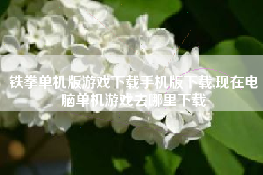 铁拳单机版游戏下载手机版下载,现在电脑单机游戏去哪里下载