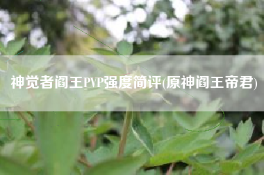 神觉者阎王PVP强度简评(原神阎王帝君)