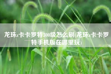 龙珠z卡卡罗特300级怎么刷(龙珠z卡卡罗特手机版在哪里玩)