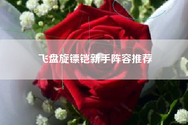 飞盘旋镖铠新手阵容推荐