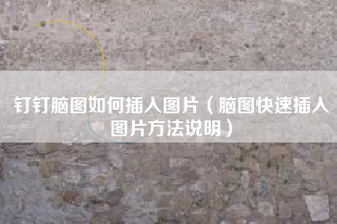 钉钉脑图如何插入图片（脑图快速插入图片方法说明）