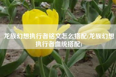 龙族幻想执行者铭文怎么搭配(龙族幻想执行者血统搭配)