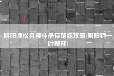 阴阳师松月樱林最佳路线攻略(阴阳师一叶樱林)