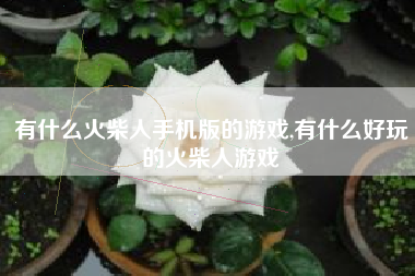 有什么火柴人手机版的游戏,有什么好玩的火柴人游戏