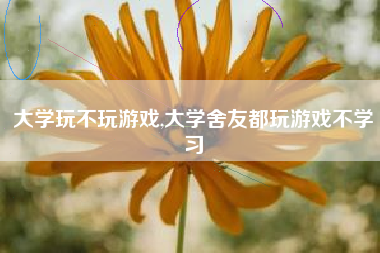 大学玩不玩游戏,大学舍友都玩游戏不学习