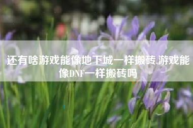 还有啥游戏能像地下城一样搬砖,游戏能像DNF一样搬砖吗