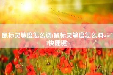 鼠标灵敏度怎么调(鼠标灵敏度怎么调win11快捷键)