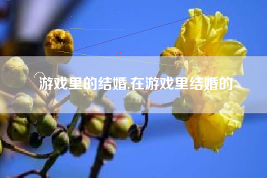 游戏里的结婚,在游戏里结婚的