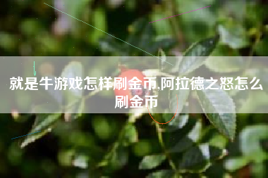 就是牛游戏怎样刷金币,阿拉德之怒怎么刷金币