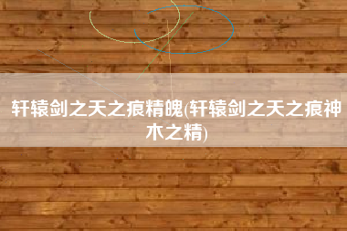 轩辕剑之天之痕精魄(轩辕剑之天之痕神木之精)