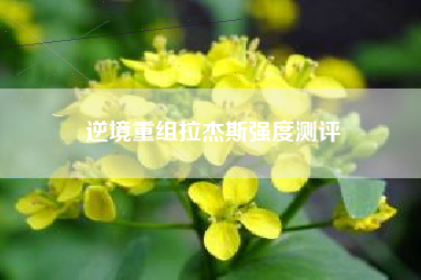 逆境重组拉杰斯强度测评