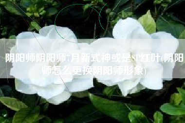 阴阳师阴阳师7月新式神或是SP红叶(阴阳师怎么更换阴阳师形象)