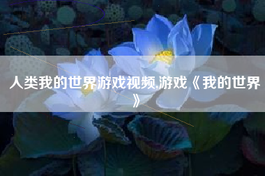人类我的世界游戏视频,游戏《我的世界》