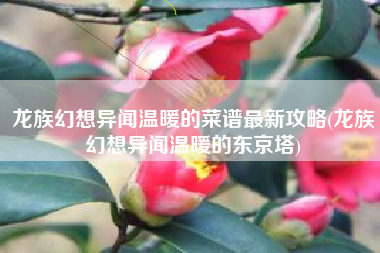 龙族幻想异闻温暖的菜谱最新攻略(龙族幻想异闻温暖的东京塔)