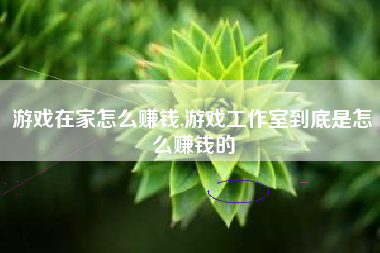 游戏在家怎么赚钱,游戏工作室到底是怎么赚钱的