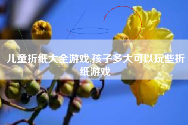 儿童折纸大全游戏,孩子多大可以玩些折纸游戏