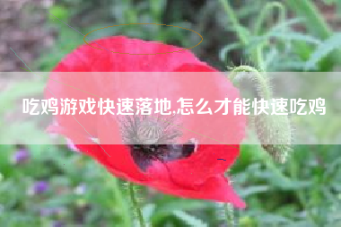 吃鸡游戏快速落地,怎么才能快速吃鸡