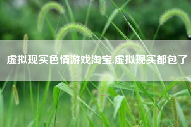 虚拟现实色情游戏淘宝,虚拟现实都包了