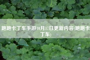 跑跑卡丁车手游10月17日更新内容(跑跑卡丁车)