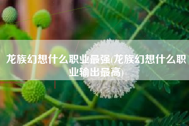 龙族幻想什么职业最强(龙族幻想什么职业输出最高)