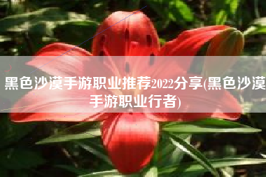 黑色沙漠手游职业推荐2022分享(黑色沙漠手游职业行者)