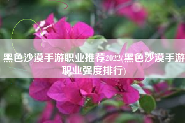 黑色沙漠手游职业推荐2022(黑色沙漠手游职业强度排行)
