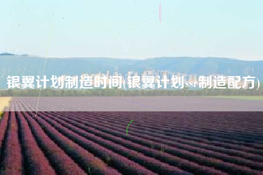 银翼计划制造时间(银翼计划ssr制造配方)