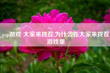 psp游戏 大家来找茬,为什么在大家来找茬游戏里