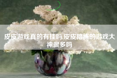 皮皮游戏真的有挂吗,皮皮陪练的游戏大神很多吗