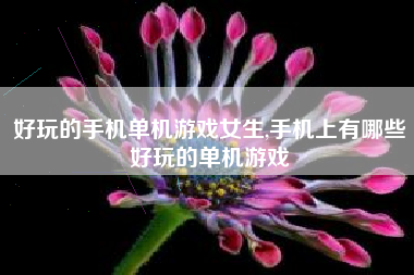 好玩的手机单机游戏女生,手机上有哪些好玩的单机游戏